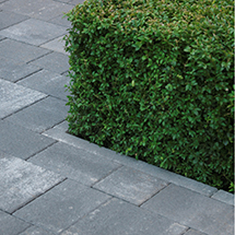 Medley Edging
