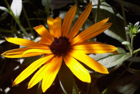 Matt Haddon Gardens