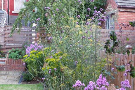 Mary Swan Gardens