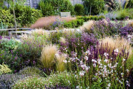 Catherine Thomas Landscape & Garden Design Ltd