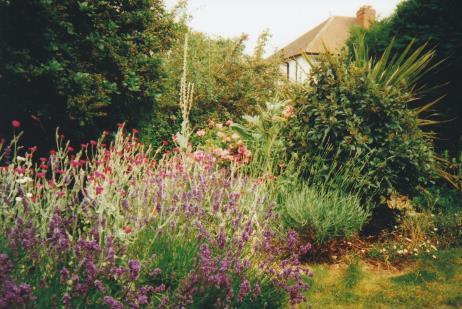Bellissima Garden Design
